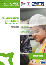 Decarbonation