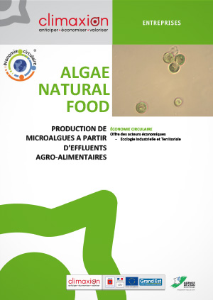Algae Natural Food : Production de microalgues à partir d'effluents agro-alimentaires