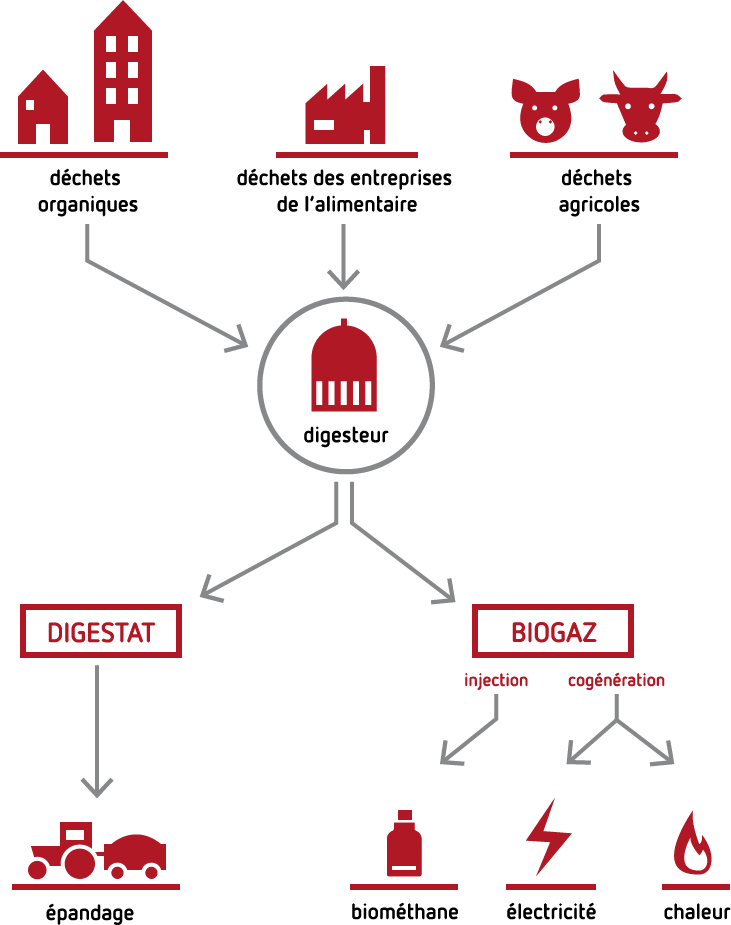 Fonctionnement d'un méthaniseur