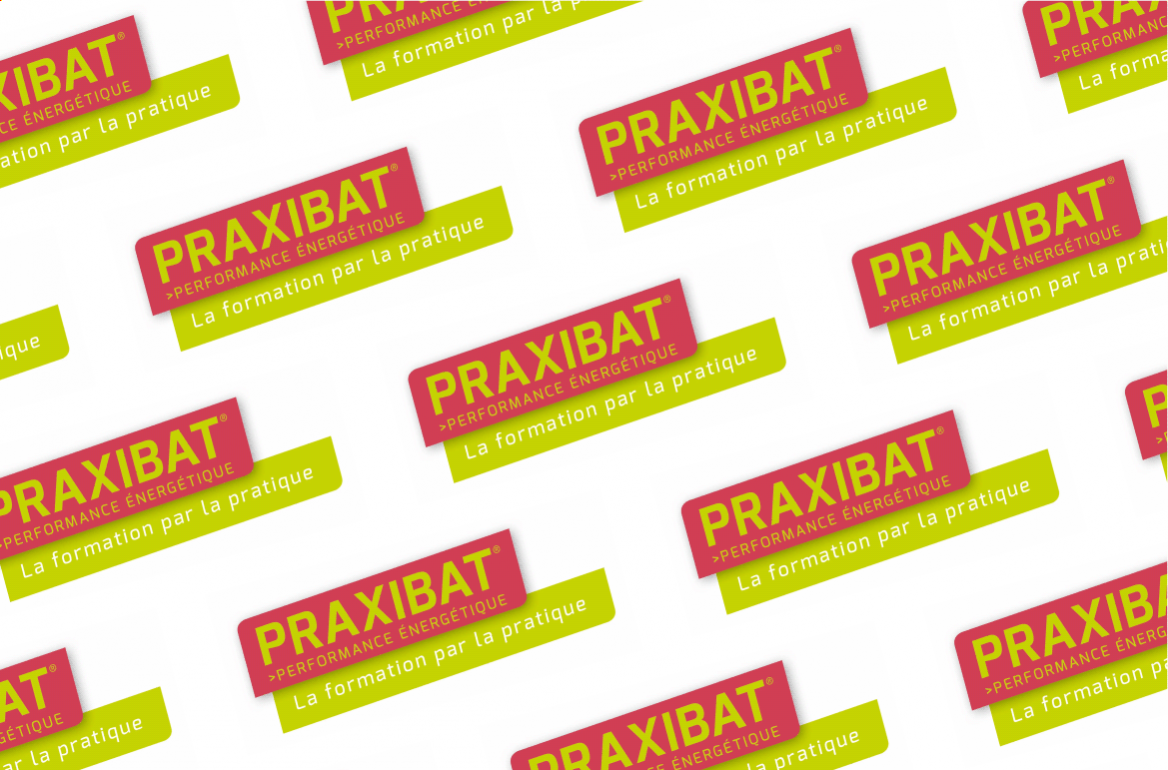 Praxibat®