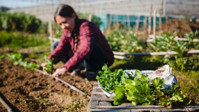 Alimentation durable Grand Est