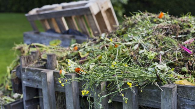 Biodéchets Grand Est