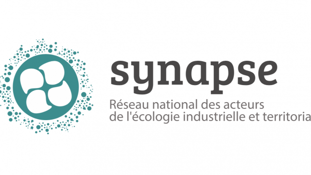 Synapse