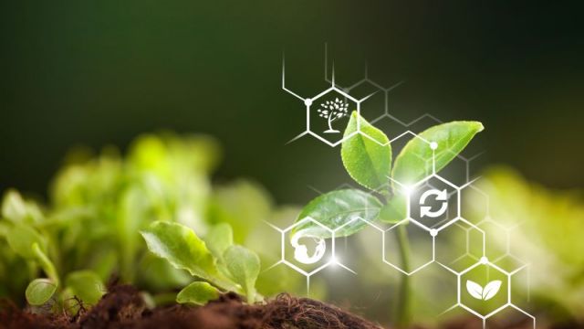 Agriculture