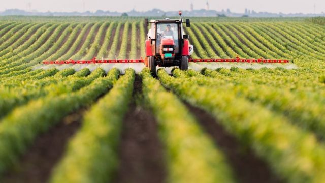 Agriculture dans le Grand Est