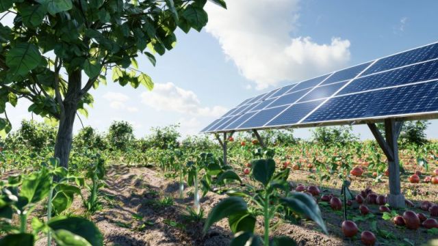 Agrivoltaisme