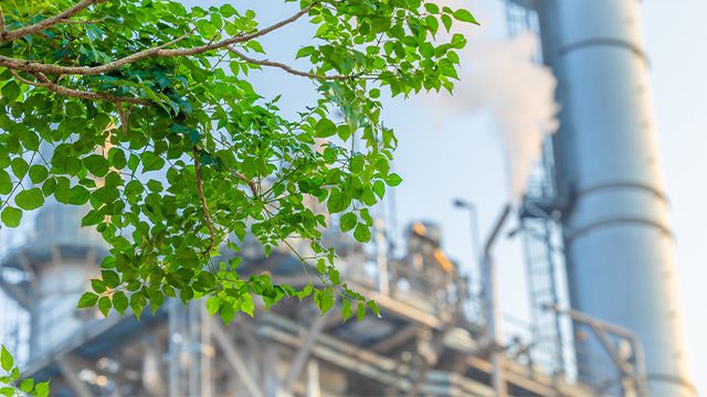 Écologie Industrielle et Territoriale