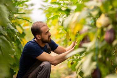 Eleveurs agricoles Grand Est