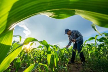 Fermes biodiversité Grand Est