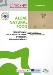 Algae Natural Food : Production de microalgues à partir d'effluents agro-alimentaires