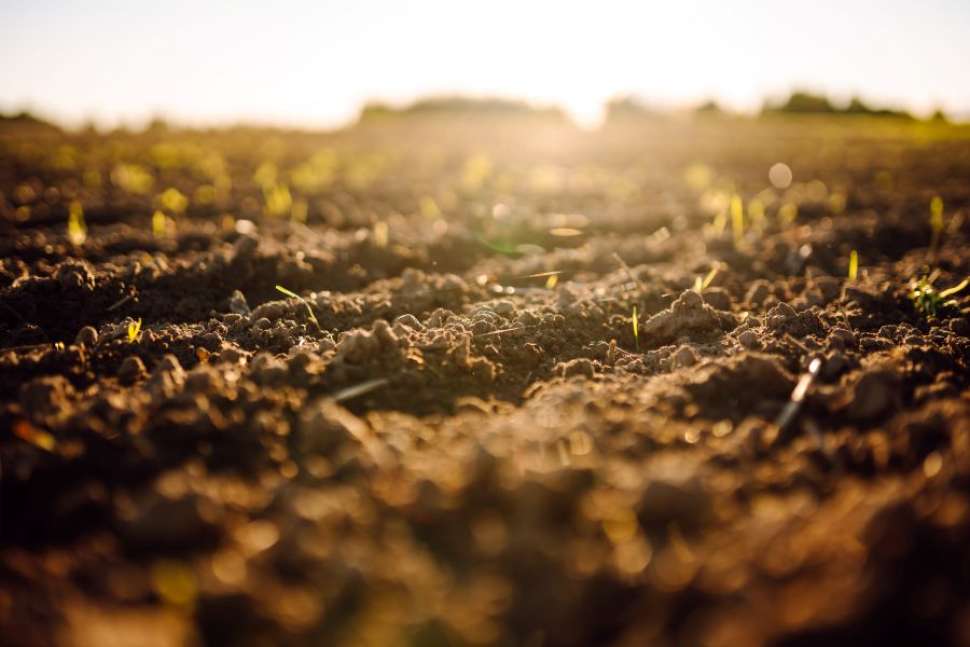 Agro ecologie