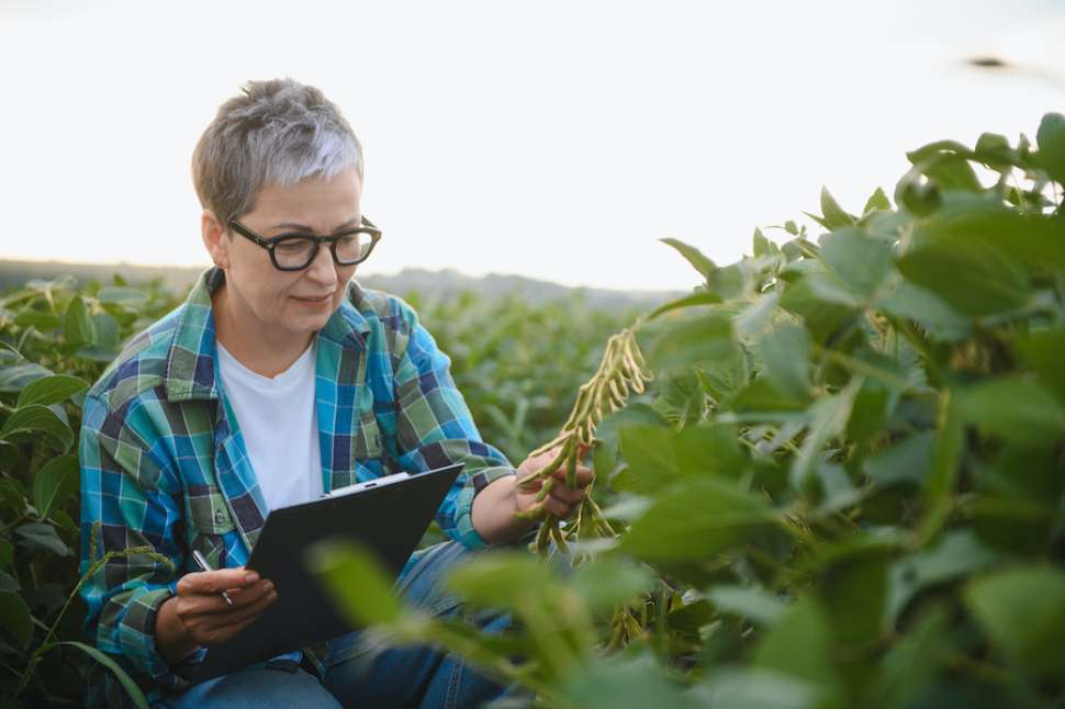 RDI agriculture