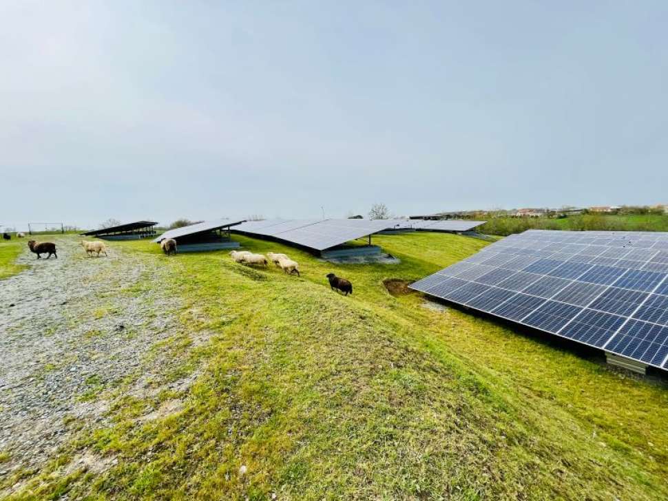 Agrivoltaisme Grand Est