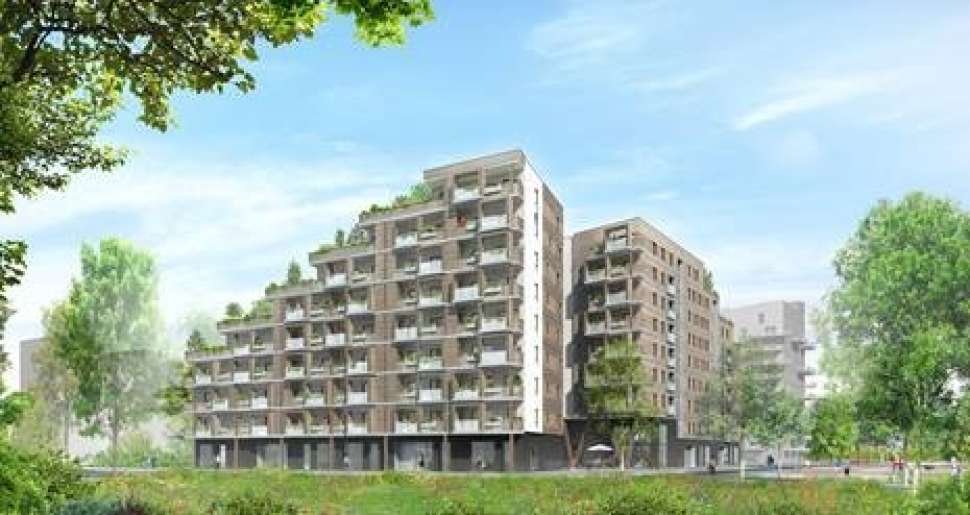 Ilot bois Strasbourg