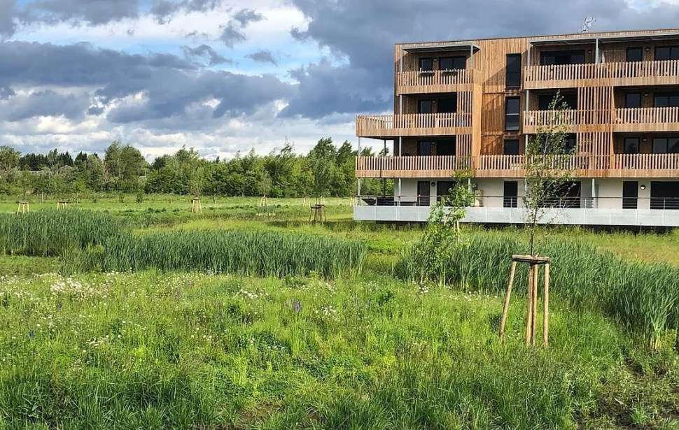 Rives du bohrie Ostwald