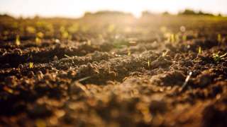 Agro ecologie