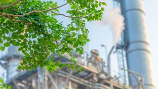 Écologie Industrielle et Territoriale