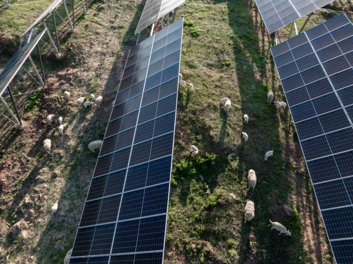 Agrivoltasime méthode PALIER