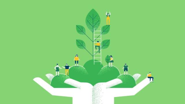 Tremplin transition écologique ADEME