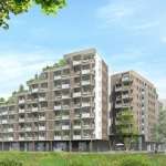 Ilot bois Strasbourg