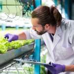 Recherche agriculture