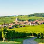 Sobriété foncière